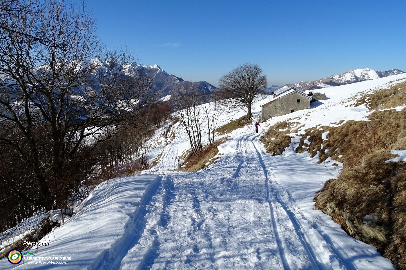 20 Sulla strada agrosilvopastorale.JPG